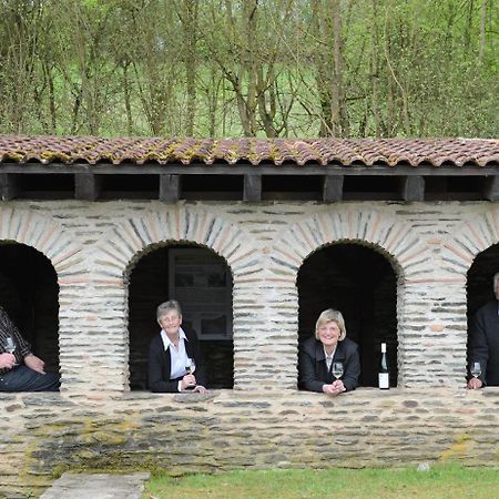 Gaestehaus Wein Im Turm Longuich Экстерьер фото